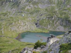 Taillefer-date (219)