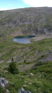 Taillefer-date (223)