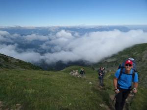 Taillefer-date (226)
