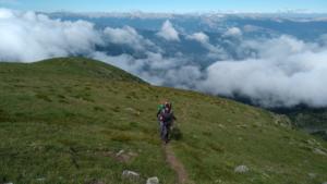 Taillefer-date (228)