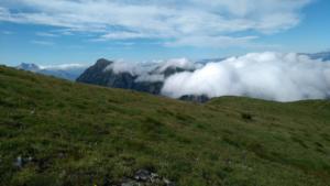 Taillefer-date (229)