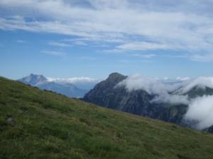 Taillefer-date (230)