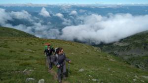 Taillefer-date (231)