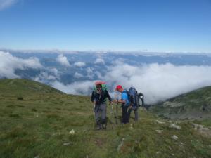 Taillefer-date (234)