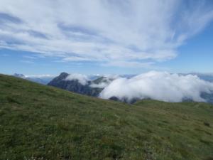 Taillefer-date (235)