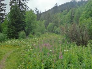 Taillefer-date (24)