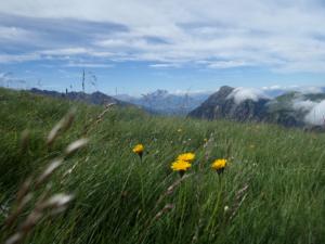 Taillefer-date (244)