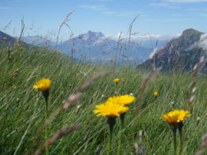 Taillefer-date (245)