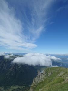 Taillefer-date (247)