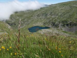 Taillefer-date (256)