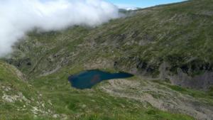 Taillefer-date (258)