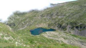 Taillefer-date (259)