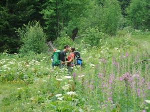 Taillefer-date (26)