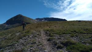 Taillefer-date (269)