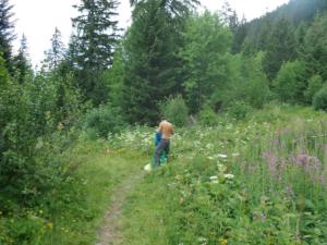 Taillefer-date (27)