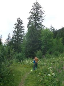Taillefer-date (28)