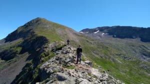 Taillefer-date (283)