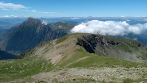 Taillefer-date (293)