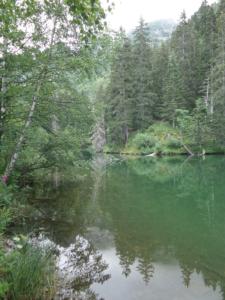 Taillefer-date (30)