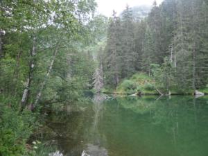 Taillefer-date (31)