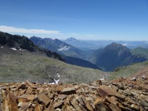 Taillefer-date (329)