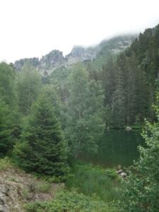 Taillefer-date (35)