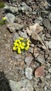 Taillefer-date (352)
