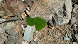 Taillefer-date (353)