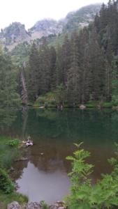 Taillefer-date (36)