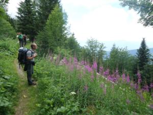 Taillefer-date (37)