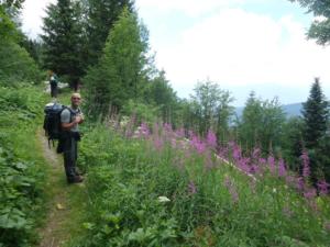 Taillefer-date (38)