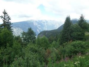 Taillefer-date (42)