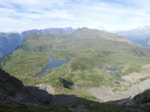 Taillefer-date (423)