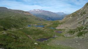 Taillefer-date (424)