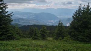 Taillefer-date (43)