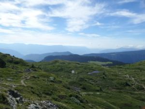 Taillefer-date (432)