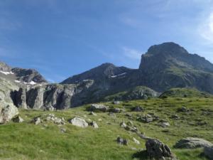 Taillefer-date (440)
