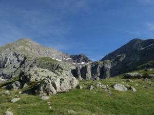 Taillefer-date (441)