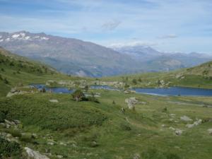 Taillefer-date (442)