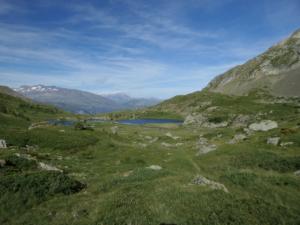 Taillefer-date (443)