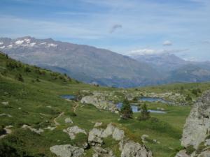 Taillefer-date (445)
