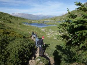Taillefer-date (446)