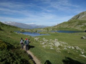 Taillefer-date (447)