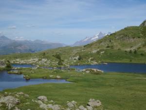 Taillefer-date (448)