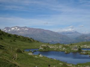 Taillefer-date (449)