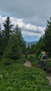 Taillefer-date (45)