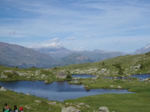 Taillefer-date (450)
