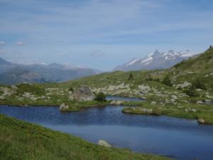 Taillefer-date (452)