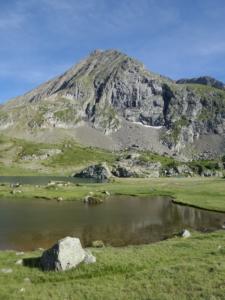 Taillefer-date (454)