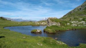 Taillefer-date (458)